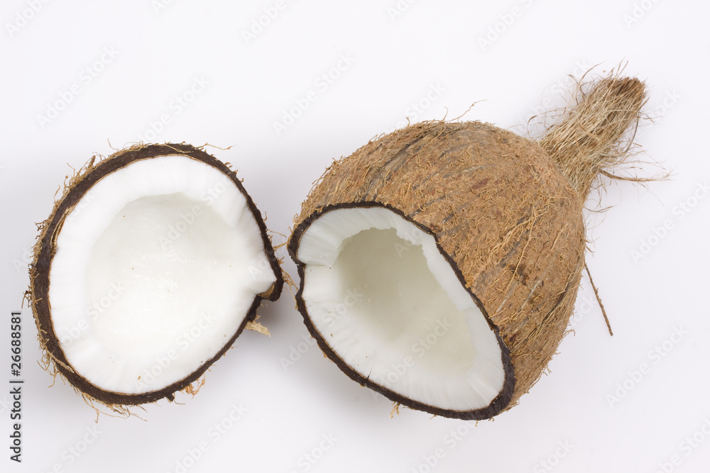 coconut still life