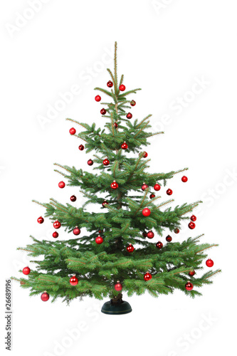 Rot geschmückter Weihnachtsbaum