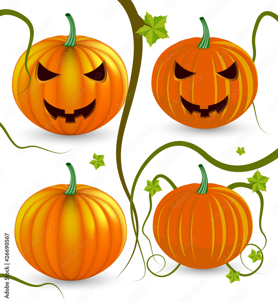 Vector halloween pumpkins