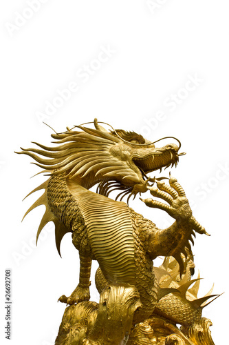 Golden dragon statue on white backgroud © lavoview