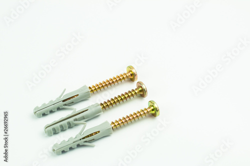 screws with plug