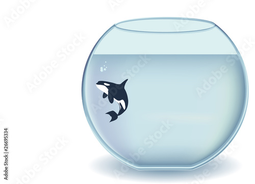 Glass bowl orca