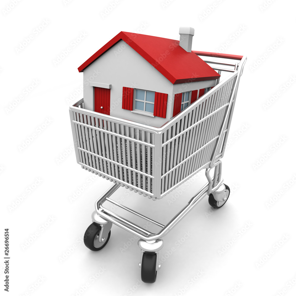 Buy Your House Buy Your House