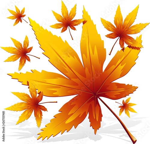 Foglie d'Autunno-Autumn Leaves-Vector