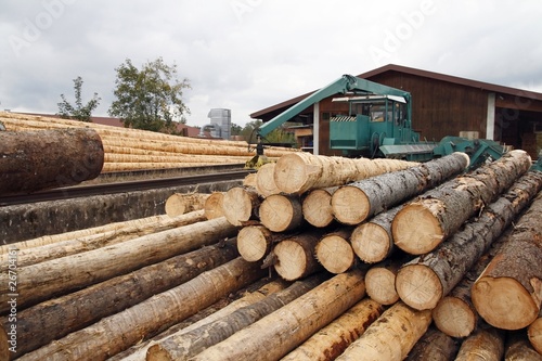 Sawmill photo
