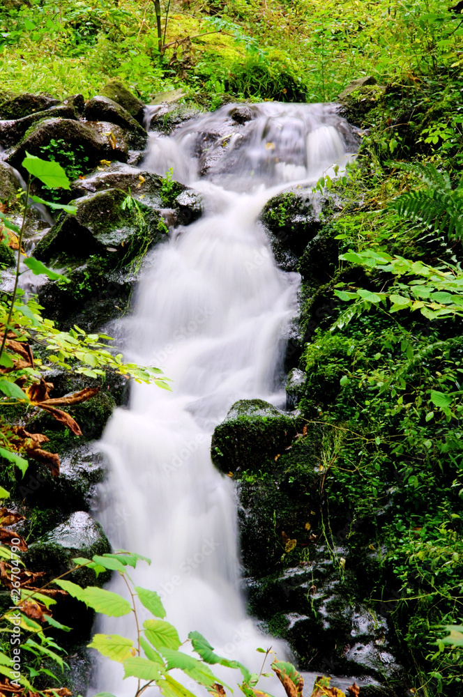 Fototapeta premium Bad Bertrich Wasserfall - Bad Bertrich waterfall 03