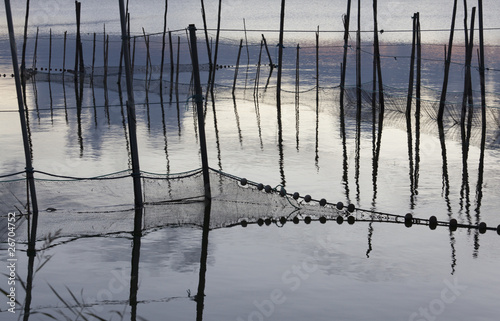 Fototapeta Naklejka Na Ścianę i Meble -  Albufera Valencia