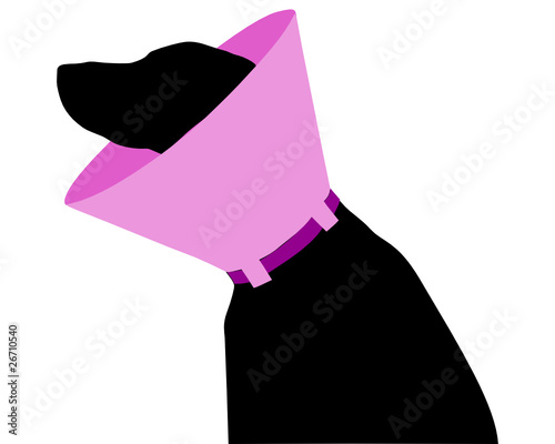 Hund mit Halskrause