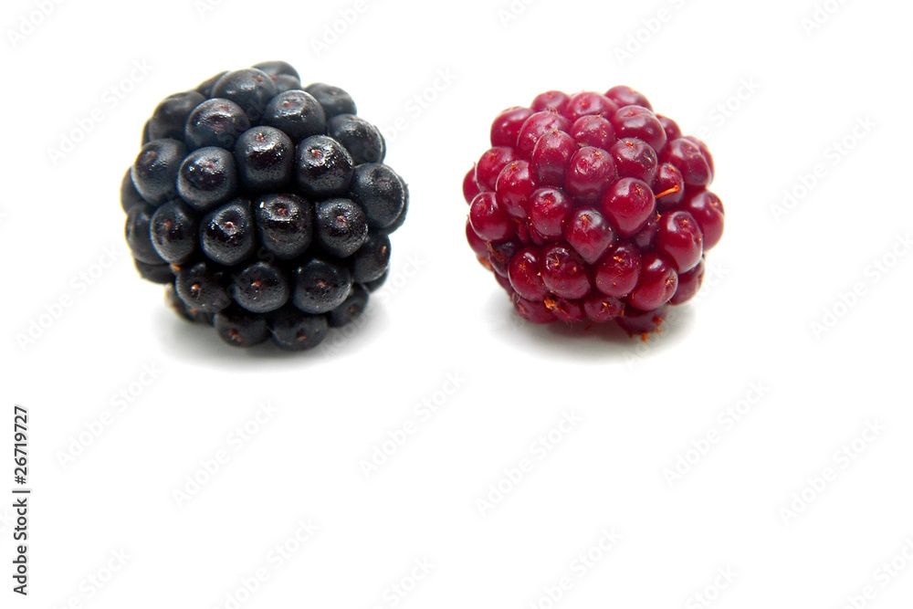 Moras