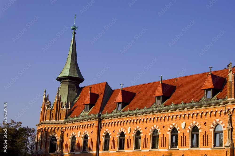 Fototapeta premium Wawel - Krakau - Polen