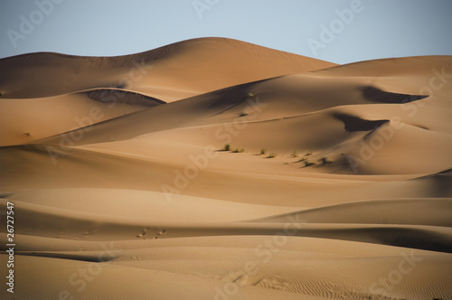Fototapeta Naklejka Na Ścianę i Meble -  In der Wüste, Marokko, Sahara