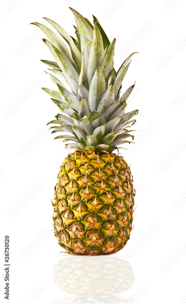 whole pineapple on a white background whole pineapple on a white background