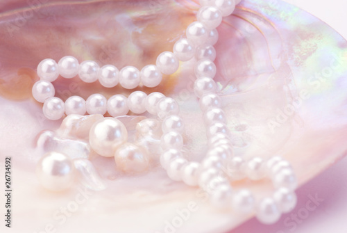 Macro of pearls and necklace in an oyster shell. Pink tinted