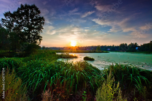 Summer pond in late afternoon light.