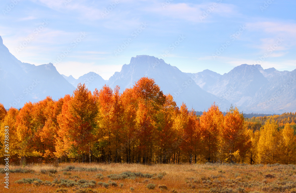 Fototapeta premium Grand Tetons park in autumn