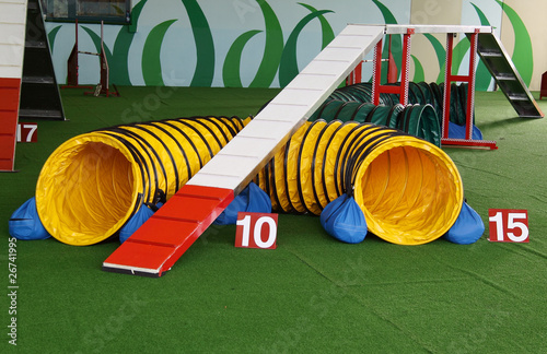 Agility Dog Equipment Passerella e Tubo photo