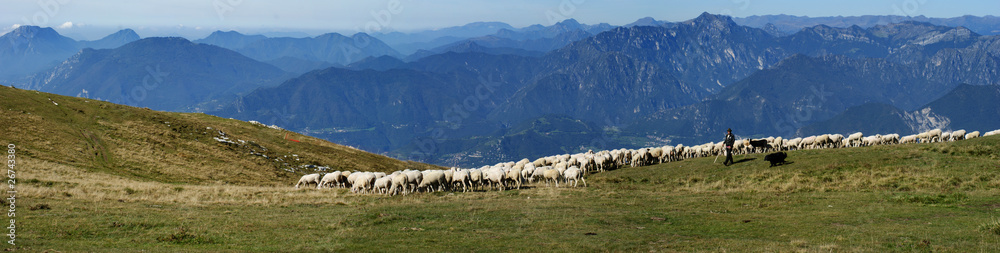 Fototapeta premium Panorama Schafherde mit Hirte auf dem Monte Baldo