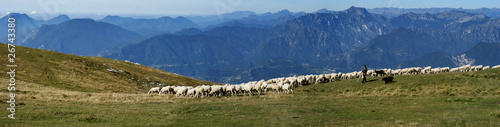 Panorama Schafherde mit Hirte auf dem Monte Baldo