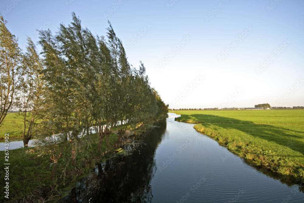 Typical dutch landscape: Water, fields and trees