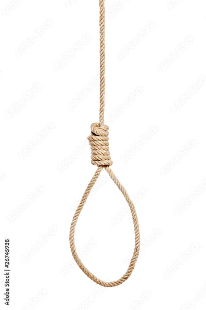 A view of a hangman's noose made of natural fiber rope