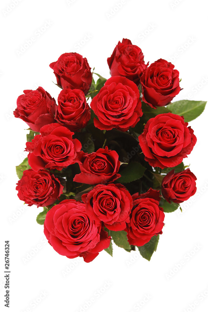 red bunch red bunch