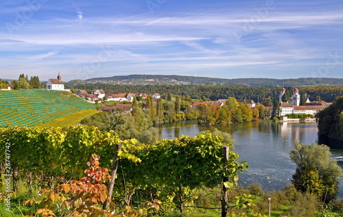Rheinschleife bei Rheinau/Schweiz