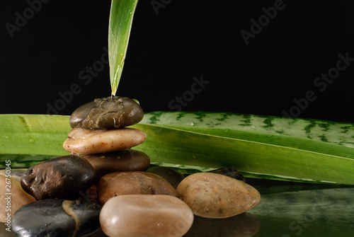 Water Running Down Leaf and Stones photo