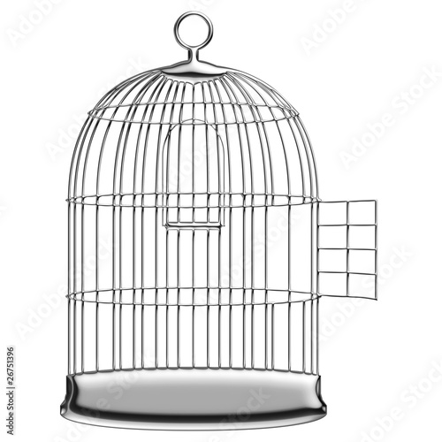 Cage de chrome