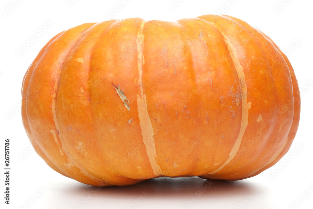 Obraz premium Orange pumpkin