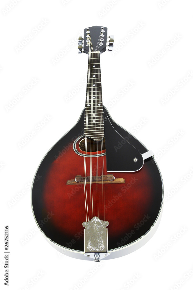 Obraz premium mandolin