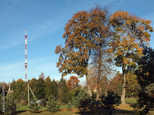Tower and trees
