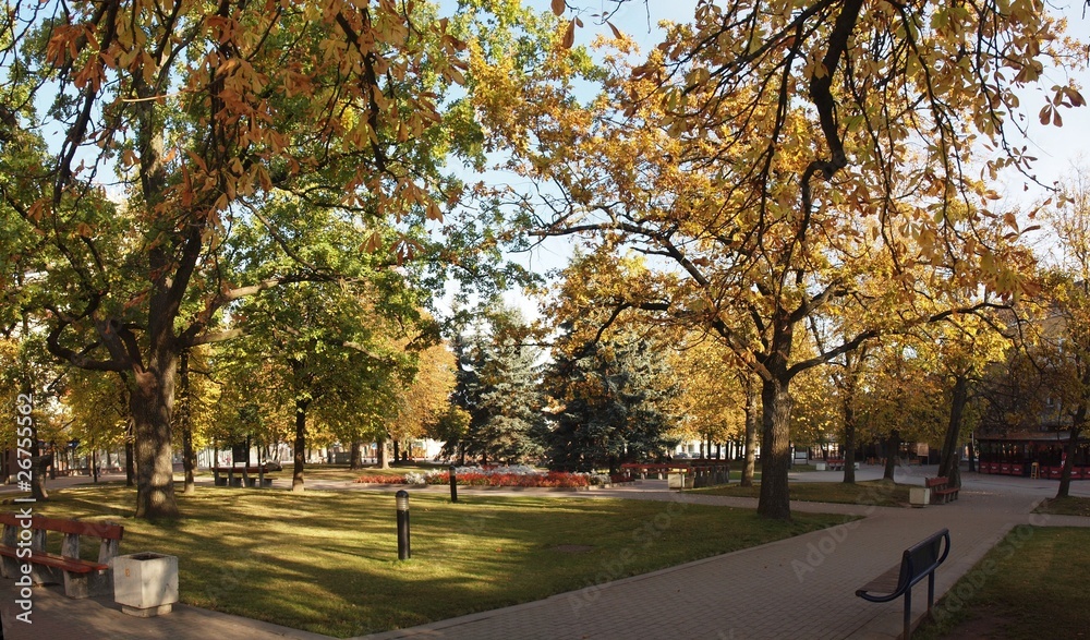 In the parc