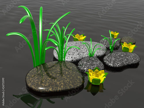 Slika na platnu Spa stones with grass