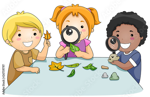 Studying Leaves