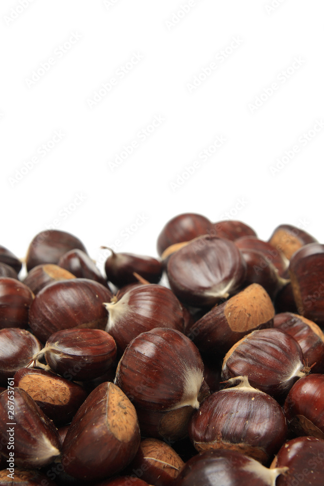 Isolated macro image of raw chestnuts Isolated macro image of raw chestnuts