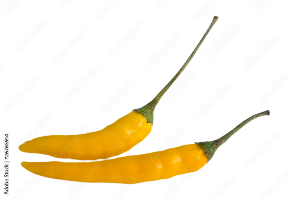 yellow chili pepper yellow chili pepper