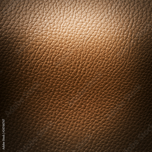 Light Brown Leatherette