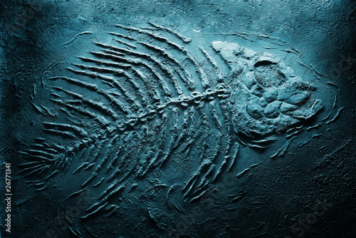 Closeup of big fish skeleton fossils on bottom of sea