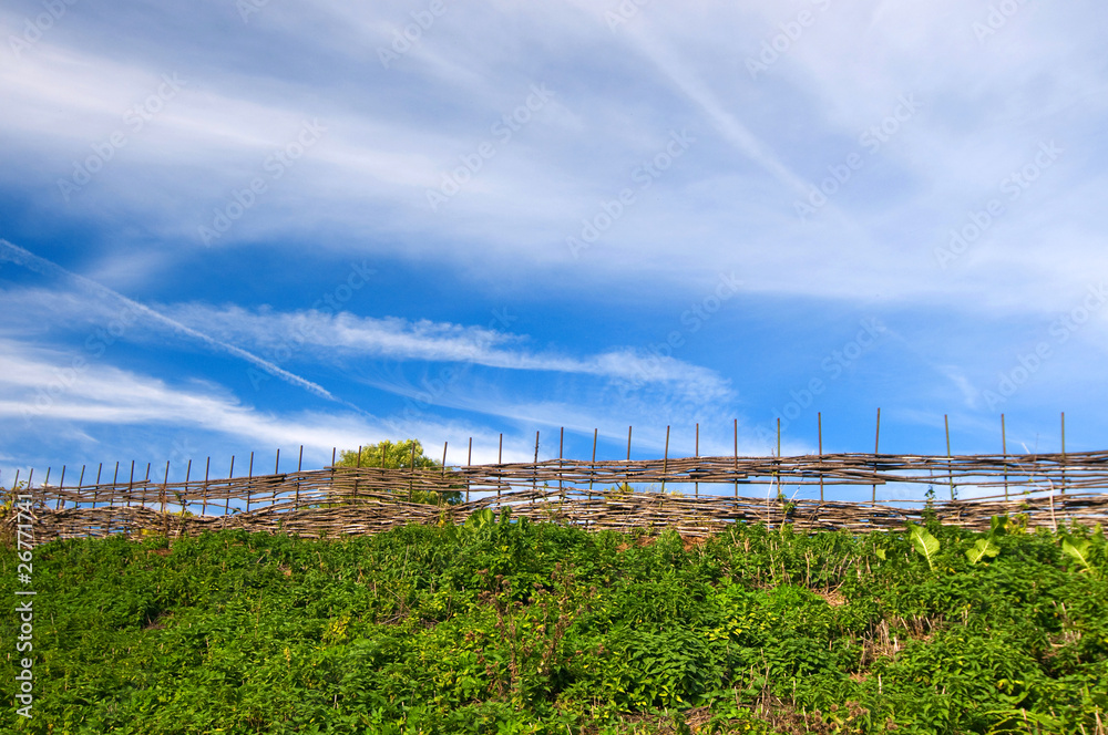 green grass, fence and blue sky with clouds