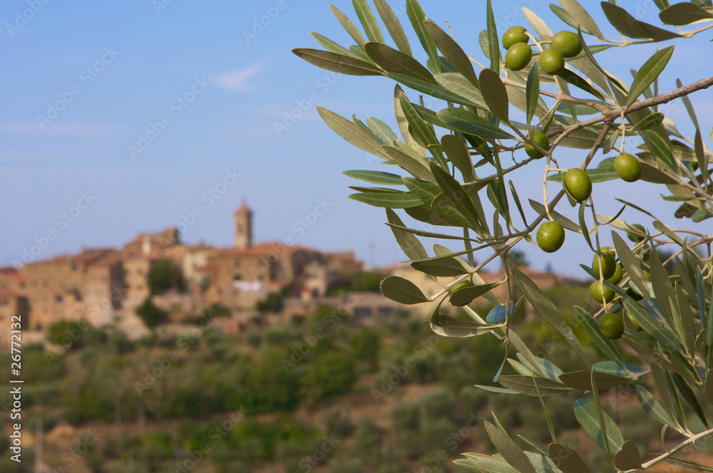 Obraz premium tempo di raccolta