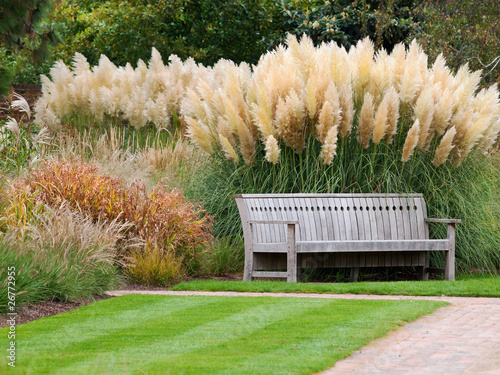 Bench in beautiful city park