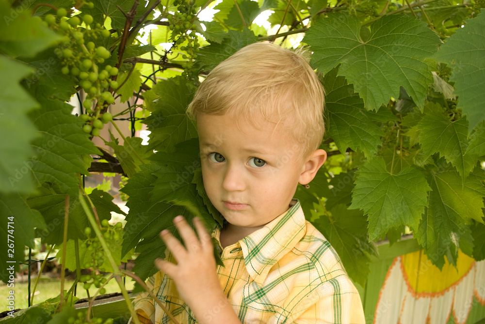 The boy in a garden, a portrait. The boy in a garden, a portrait.