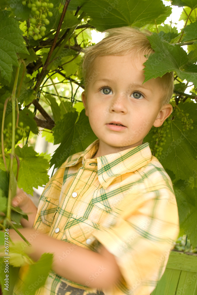 The boy in a garden, The boy in a garden,