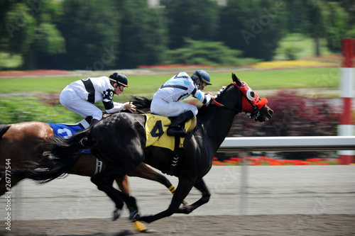 Horse Race