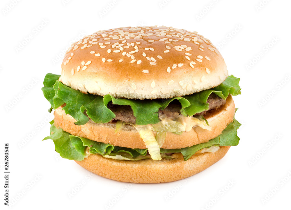 Hamburger isolated Hamburger isolated