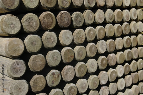 pila legno