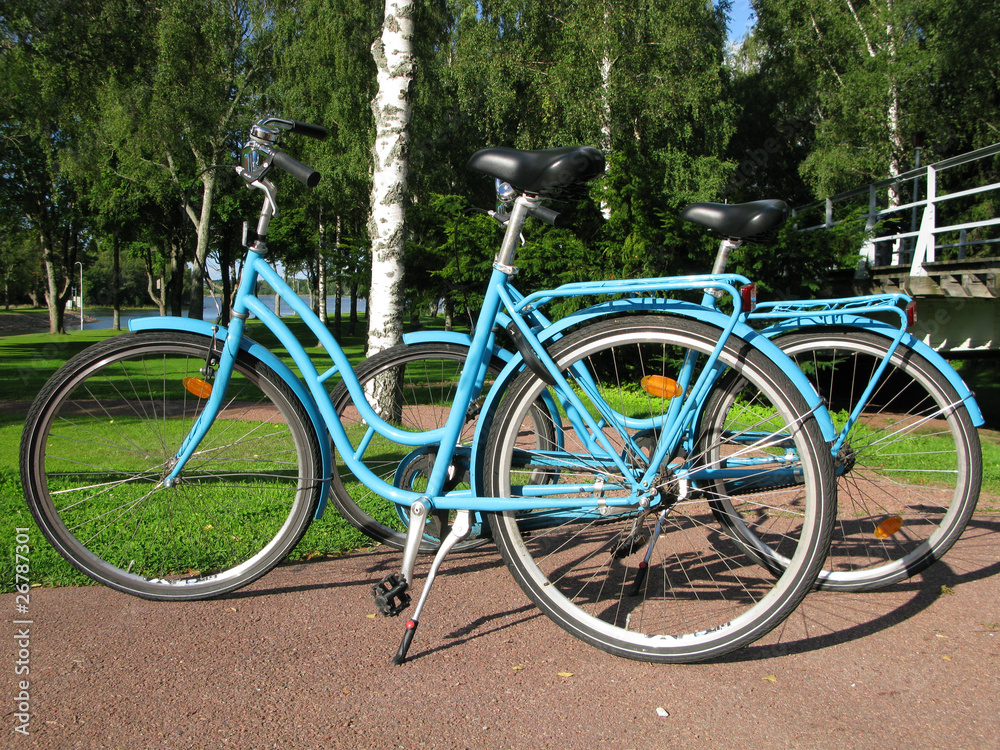 Ecological rent bike