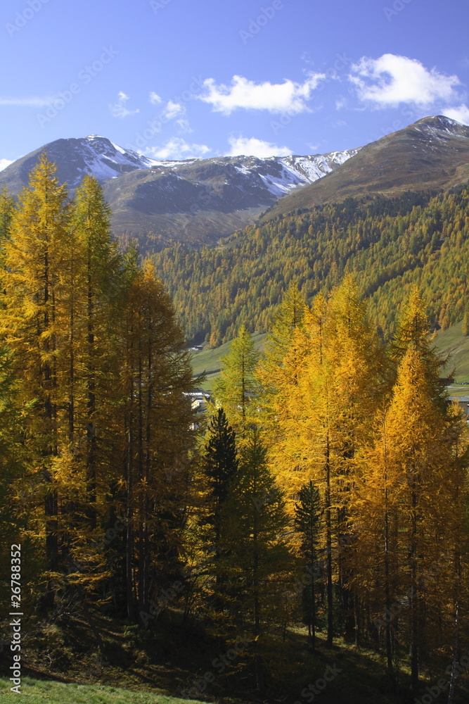 Herbststimmung im Val Livigno