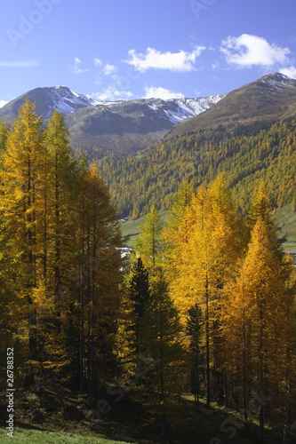 Herbststimmung im Val Livigno