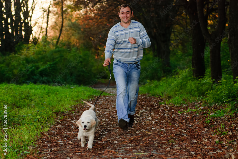 Golden retriever and man in park Golden retriever and man in park